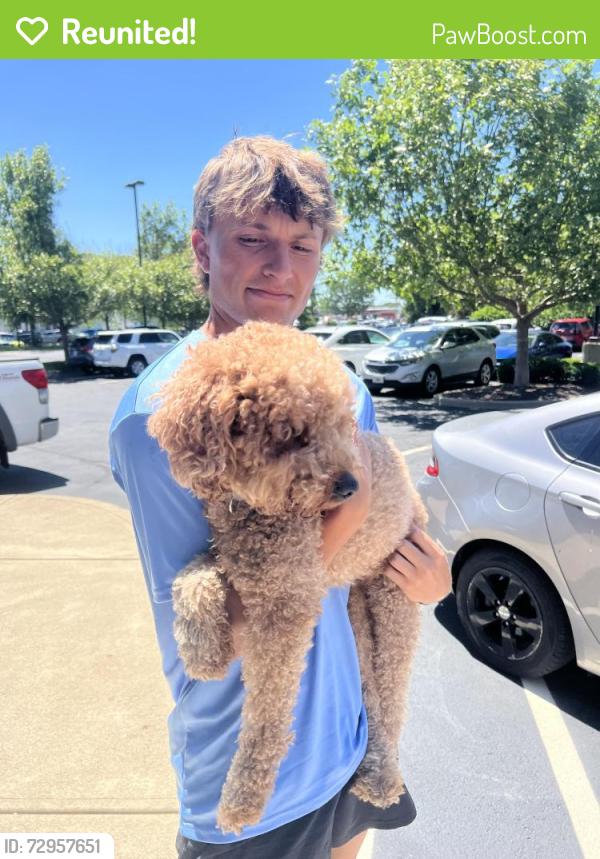Reunited Unknown Dog last seen 116th and Brookschool Rd, Fishers, IN 46037
