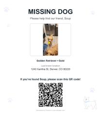 Lost Female Dog last seen Xanthia St cross 11th Ave., Denver, CO 80220