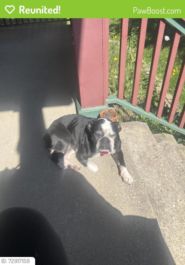 Reunited Female Dog last seen Montana and cheviot rd , Cincinnati, OH 45211