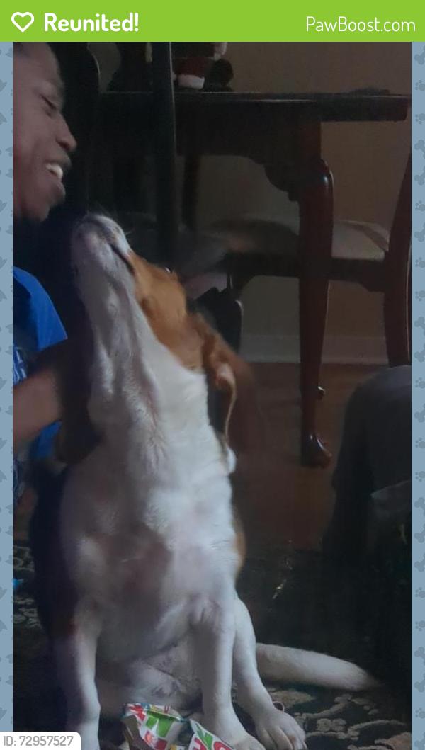 Reunited Female Dog last seen Near Commodre Drive, Hampton, VA 23669