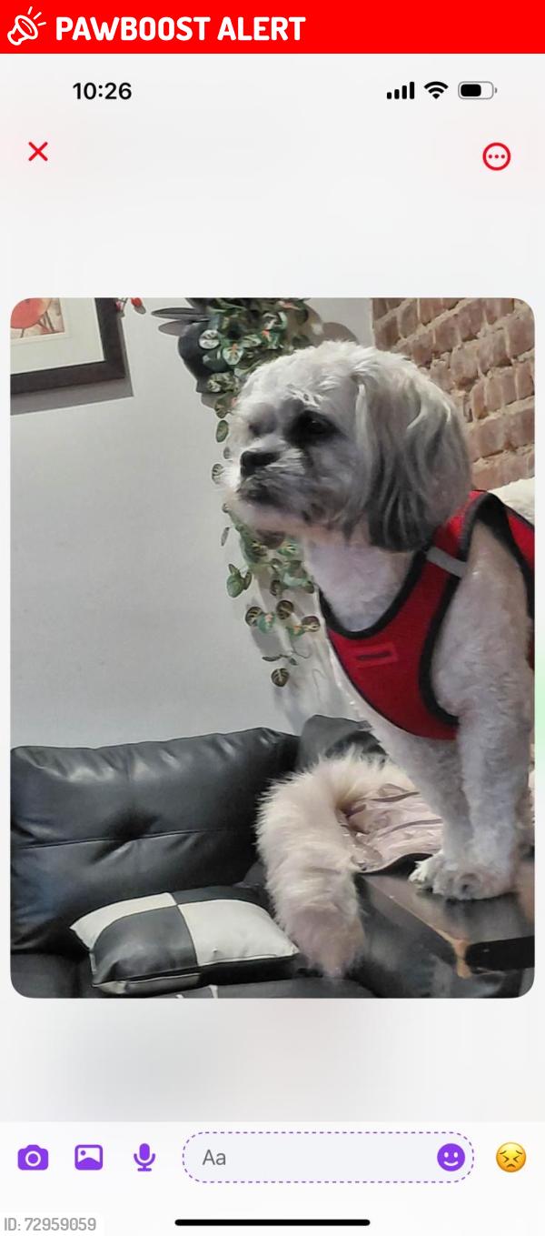 Lost Male Dog last seen Quenns, Flushing Township, MI 48433