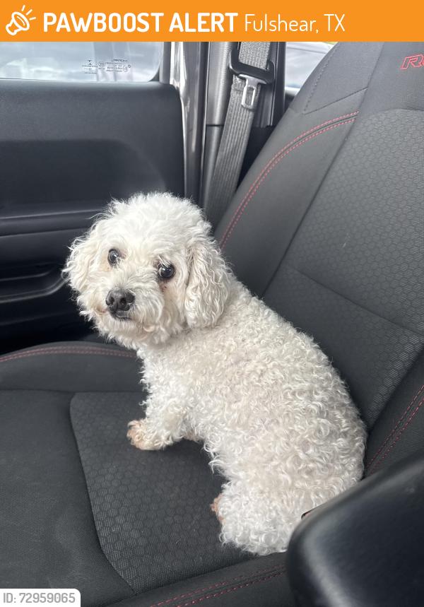 Found/Stray Female Dog last seen Fulbrook on Fulshear creek, Fulshear, TX 77441
