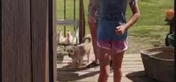 Lost Male Dog last seen Highway 351 & 604, Abilene, TX 79601