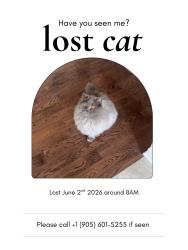 Lost Male Cat last seen Huguenot Road , Oakville, ON L6H