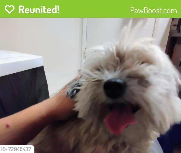 Reunited Unknown Dog last seen my front door, Bakersfield, CA 93309