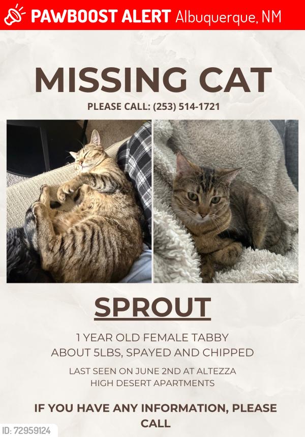 Lost Female Cat last seen Near Cortaderia St NE, Albuquerque, NM 87111, Albuquerque, NM 87111