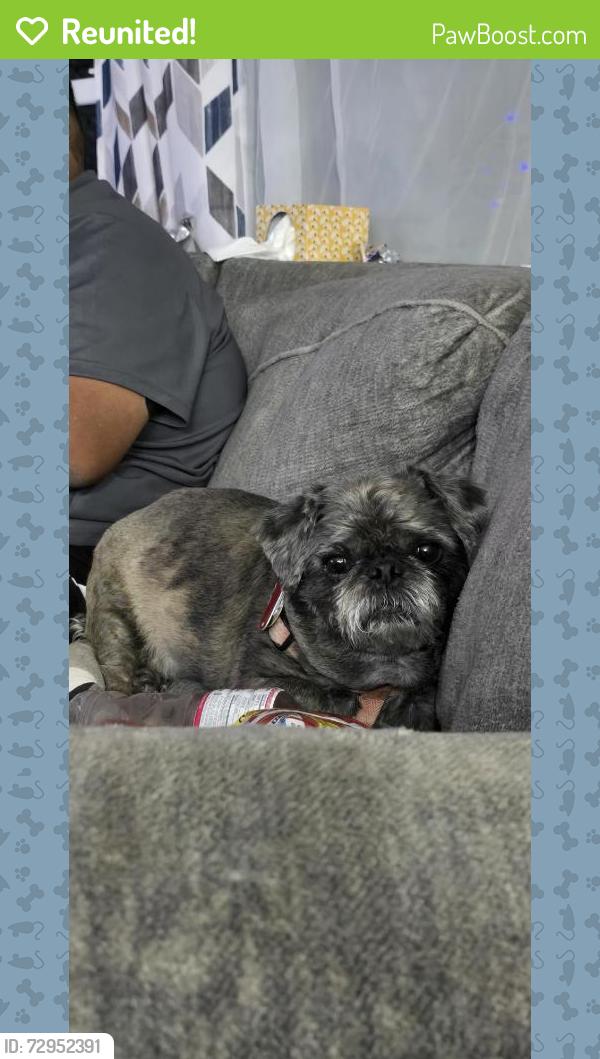 Reunited Female Dog last seen Near Strader Rd, Akron, OH 44305, USA, Akron, OH 44305