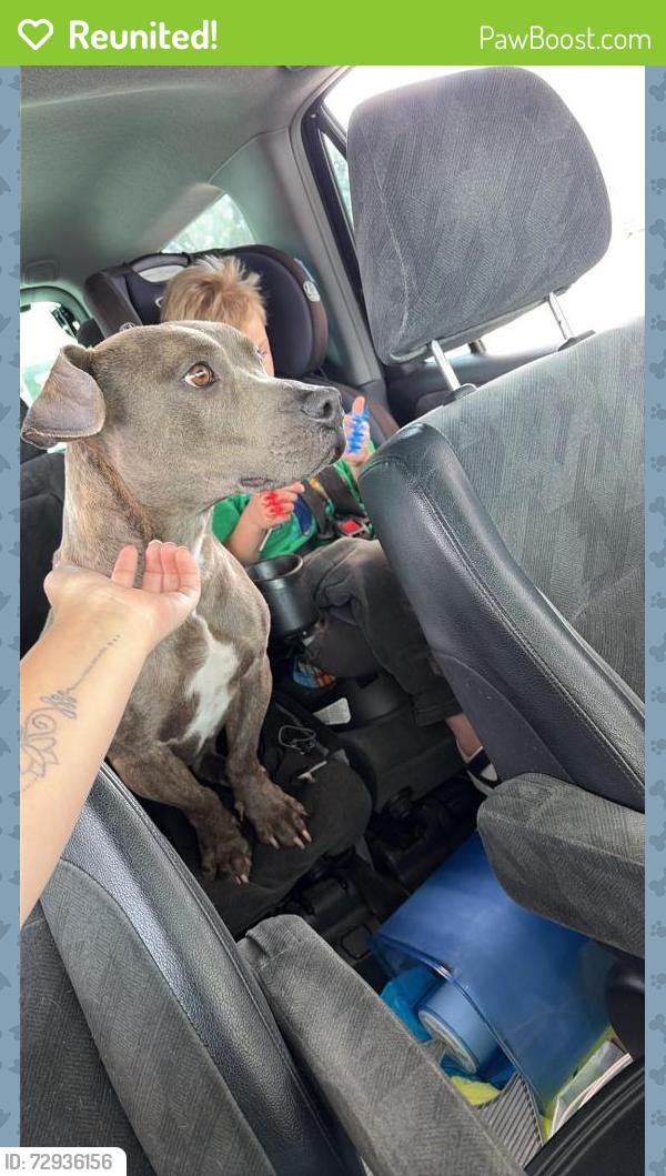 Reunited Male Dog last seen Airport/Murray, Colorado Springs, CO 80910