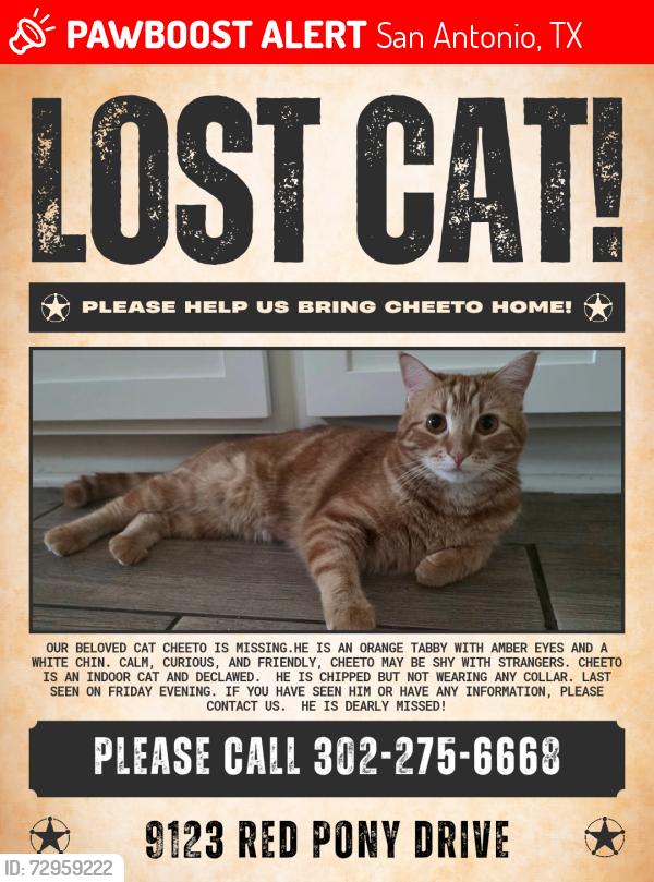 Lost Male Cat last seen Red Pony Drive, San Antonio, TX 78254