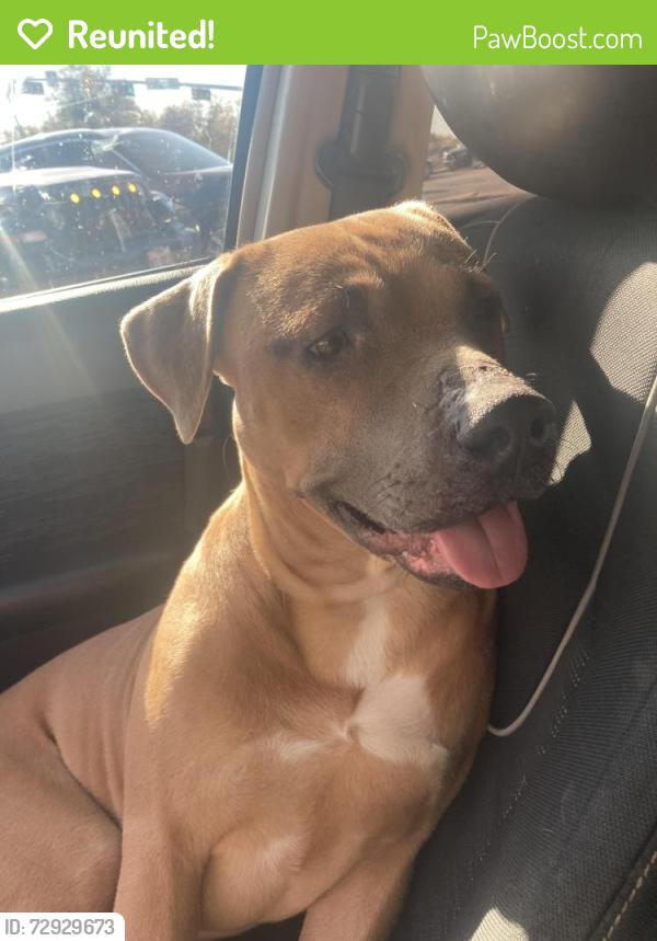 Reunited Male Dog last seen Hooper st, Dallas, TX 75215