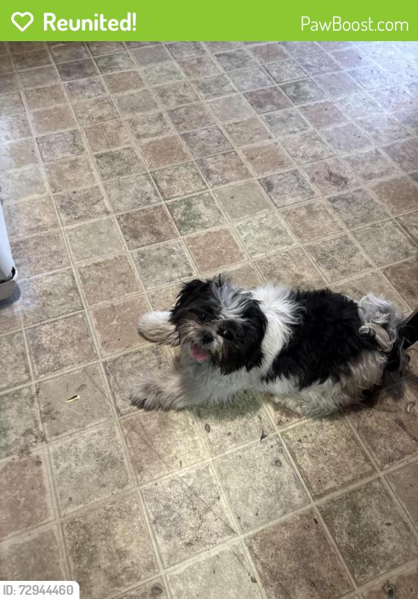 Reunited Male Dog last seen Bristol Caverns hwy. , Bristol, TN 37620