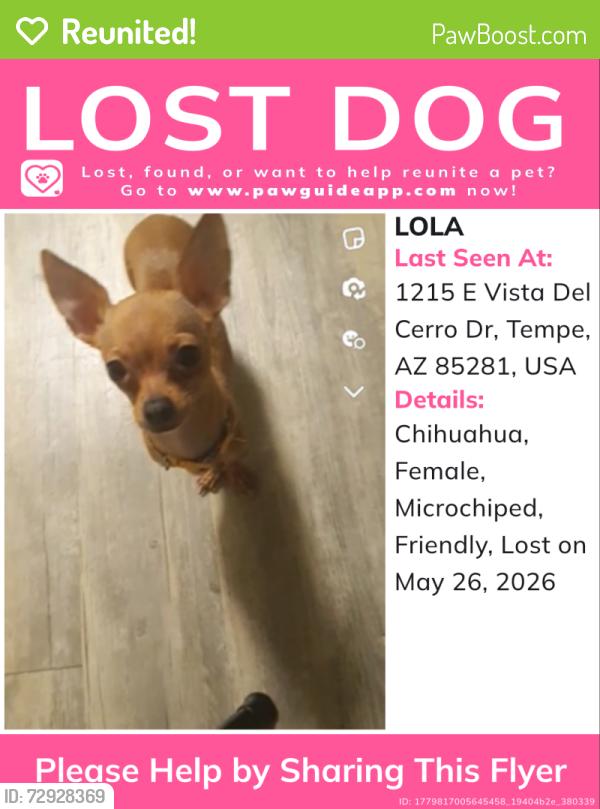 Reunited Female Dog last seen Off Vista Del Cerro Dr , Tempe, AZ 85281