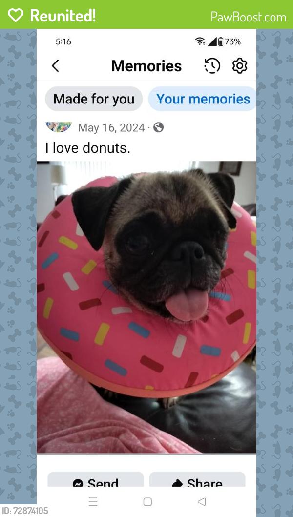 Reunited Female Dog last seen Cloud and sabino Canyon , Catalina Foothills, AZ 85750