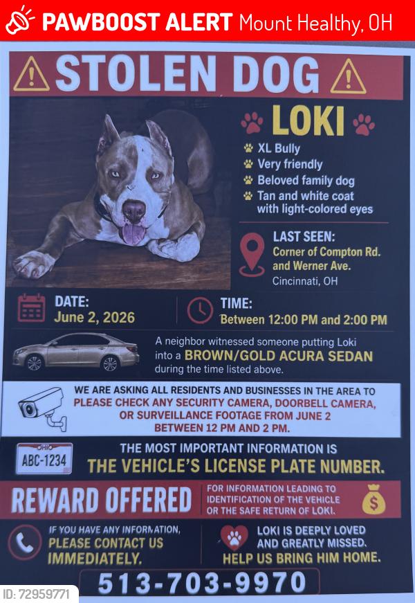 Lost Male Dog last seen Werner Ave, Mount Healthy, OH 45231