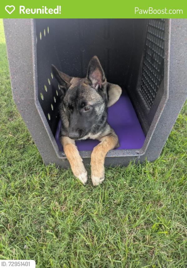 Reunited Female Dog last seen State Highway 123 bypass near social security office, Seguin, TX 78155