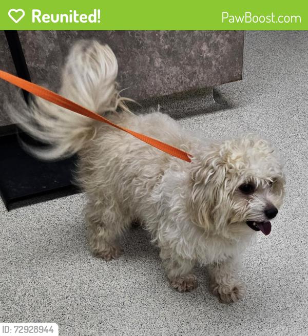 Reunited Male Dog last seen Livsey Rd and Livsey Ct entrance to Henderson Park, inside park, Tucker, GA 30084