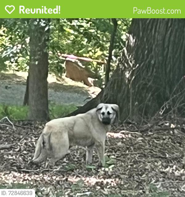 Reunited Unknown Dog last seen Hunt Rd, Bantam Rd, NC 27313