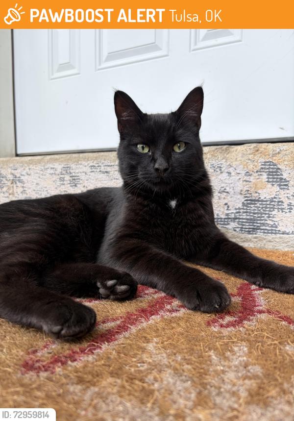 Found/Stray Male Cat last seen 21st & Garnett area, Tulsa, OK 74134