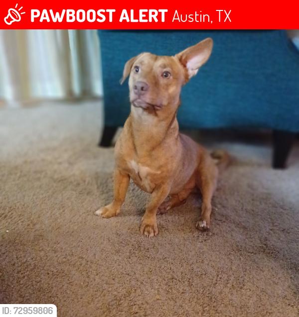 Lost Male Dog last seen Menchaca & Ravenscroft, South Austin, Austin, TX 78748
