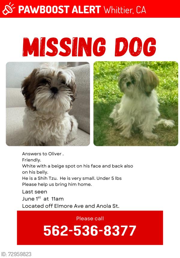 Lost Male Dog last seen Elmore Ave and Anola St. , Whittier, CA 90604
