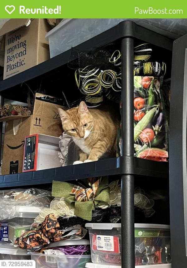 Reunited Female Cat last seen Near Pusey Mill Rd, Cochranville, PA 19330