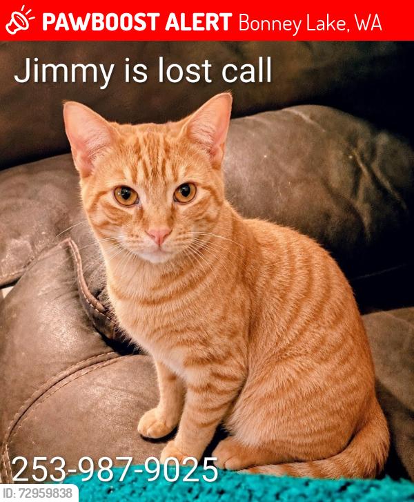 Lost Male Cat last seen 200th ave e, Bonney Lake, WA 98391