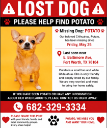 Lost Male Dog last seen Baltimore Ave , Fort Worth, TX 76104