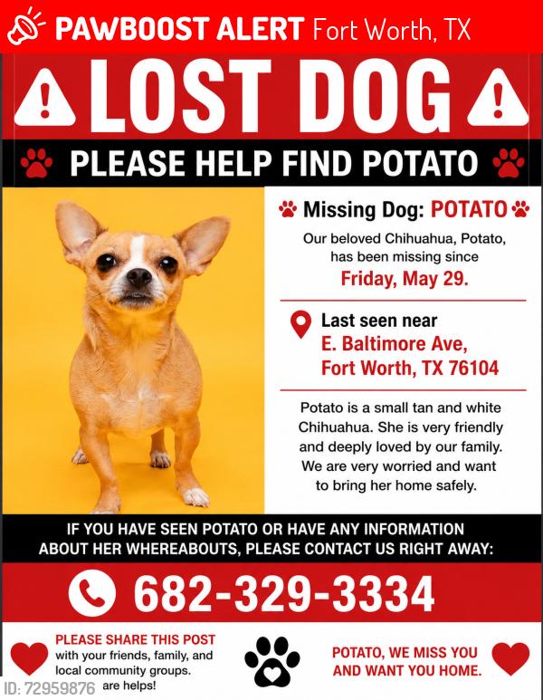Lost Male Dog last seen Baltimore Ave , Fort Worth, TX 76104