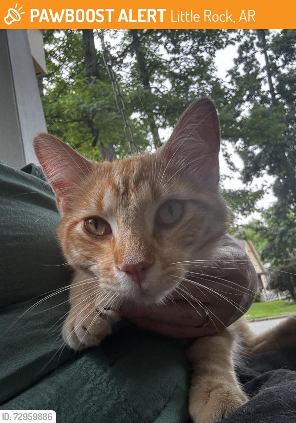 Found/Stray Male Cat last seen Stagecoach , Little Rock, AR 72210