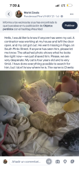 Lost Male Cat last seen Mustang drive, Paige, TX 78659