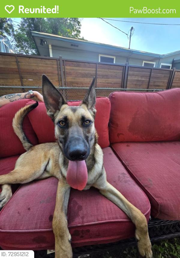 Reunited Male Dog last seen Marchmont / Dryden, San Antonio, TX 78213