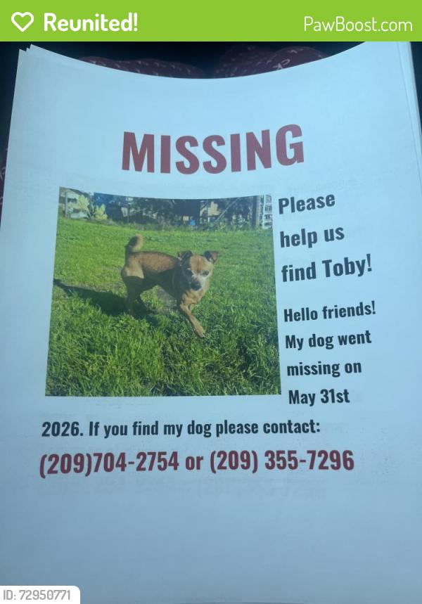 Reunited Male Dog last seen utah st, Merced, CA 95348