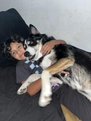Reunited Female Dog last seen Valley village , Box Elder, SD 57719