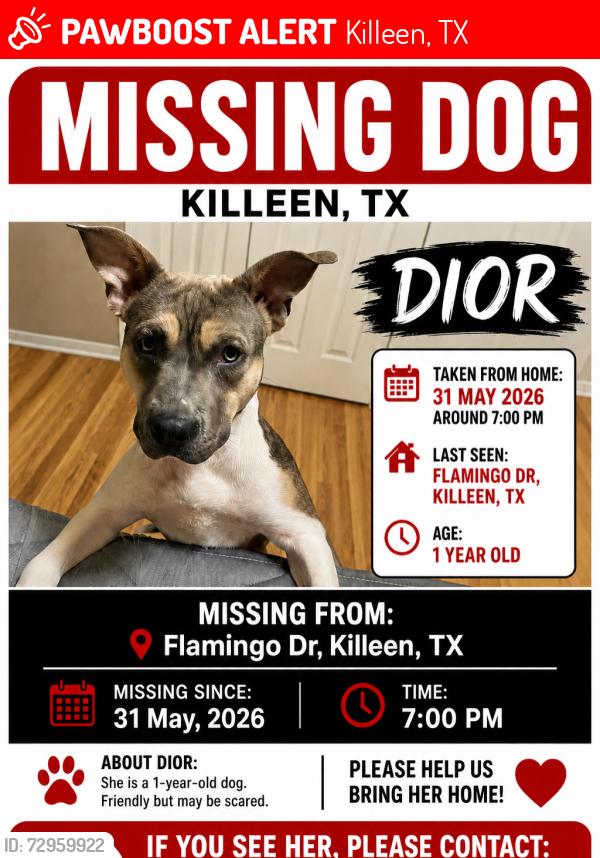 Lost Female Dog last seen Clear creek, Elms, Stans Schlueter , Killeen, TX 76549