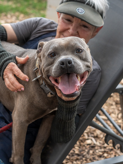 Shelter Stray Male Dog last seen Near WESLEY CHAPEL ROAD, 30034, GA, Atlanta, GA 30341