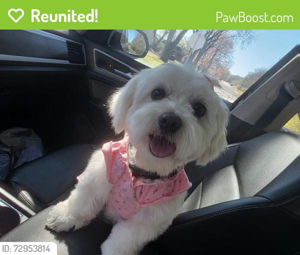 Reunited Female Dog last seen Woodland & 15th, Wichita, KS 67203
