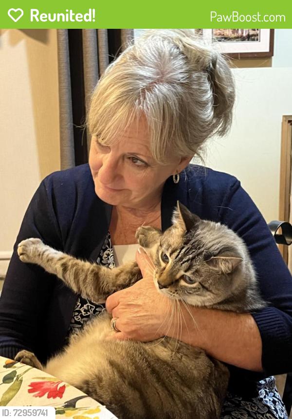 Reunited Male Cat last seen St Peter’s Baptist Church on 241 Archer FL, Archer, FL 32618