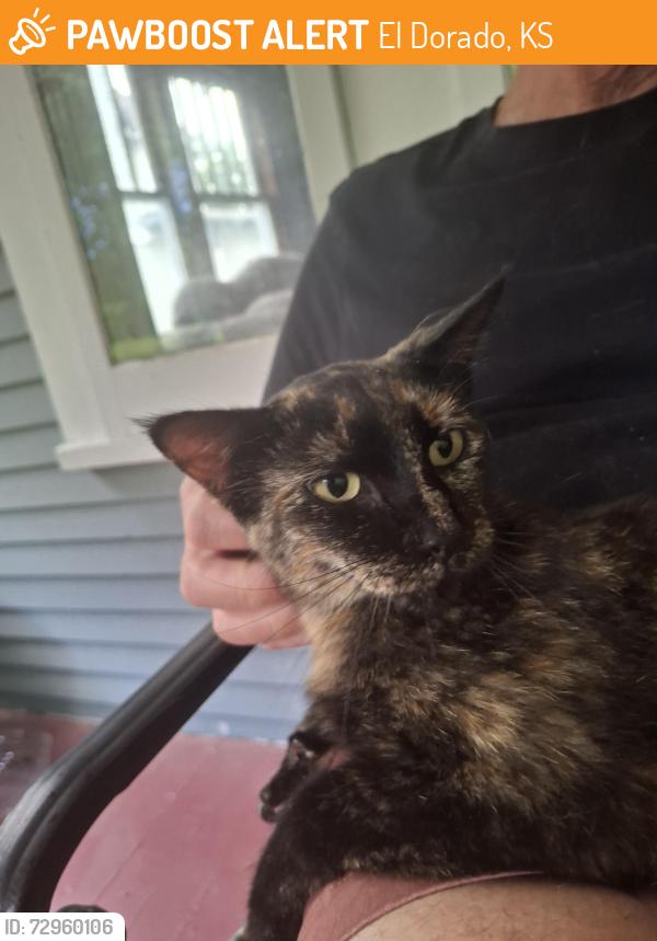 Found/Stray Female Cat last seen Bradford Memorial Library, El Dorado, KS 67042
