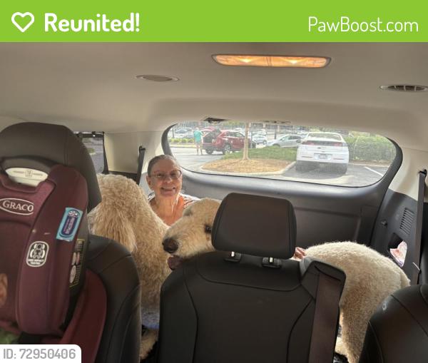 Reunited Male Dog last seen Penny, Cary, NC 27518