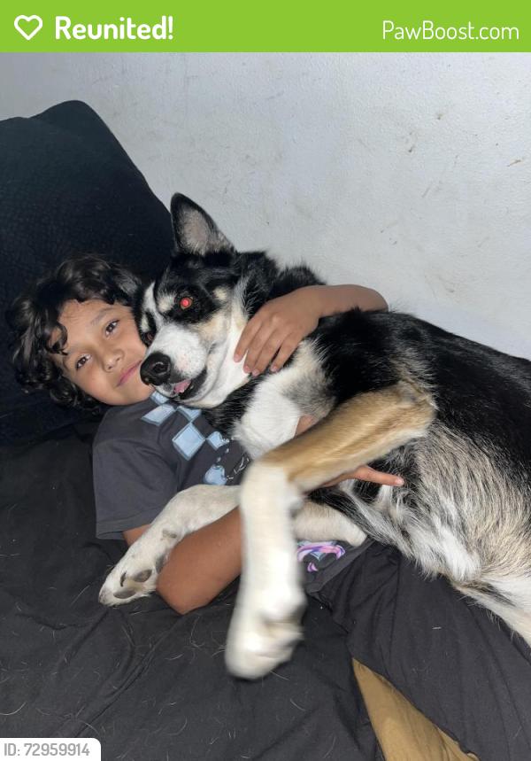 Reunited Female Dog last seen Valley village , Box Elder, SD 57719