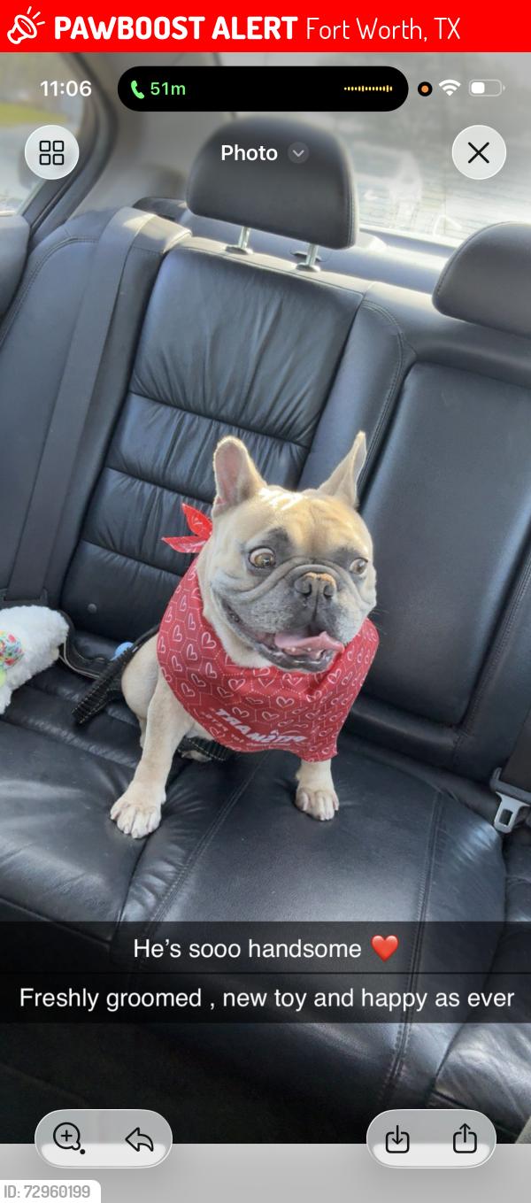 Lost Male Dog last seen Dunkin Donuts, Fort Worth, TX 76137
