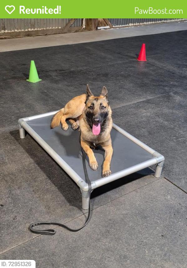 Reunited Male Dog last seen Hull street , Benton Harbor, MI 49022