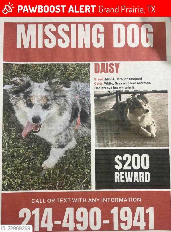 Lost Female Dog last seen Near Forest Park Pl. Grand Prairie Tx 75052, Grand Prairie, TX 75052