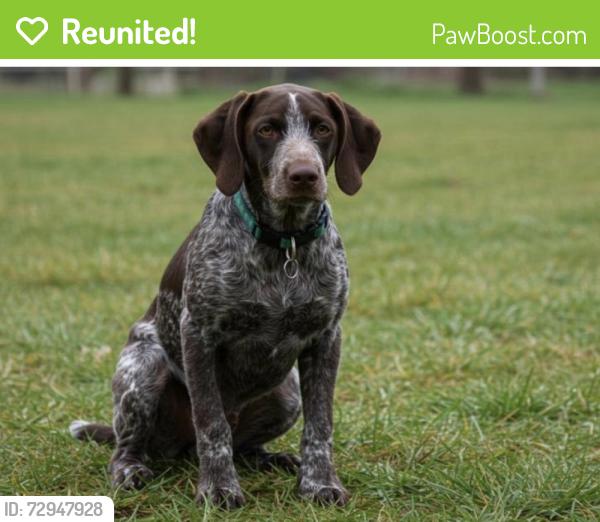 Reunited Unknown Dog last seen Kroger , Augusta, GA 30909