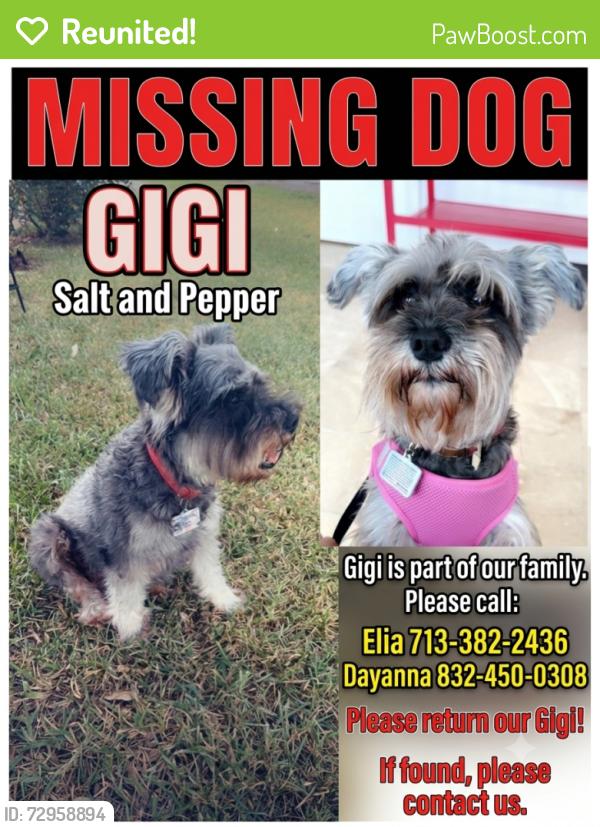 Reunited Female Dog last seen Apple Dale barkers crossing Ave , Houston, TX 77084
