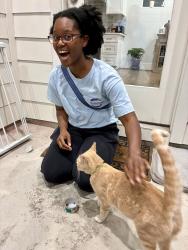 Reunited Unknown Cat last seen Ella & Kinley, Houston, TX 77018