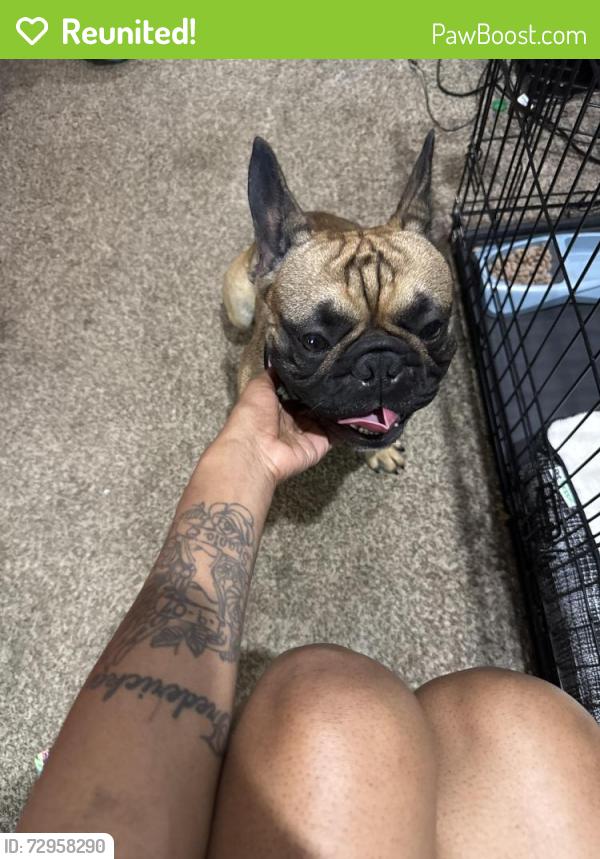 Reunited Male Dog last seen Lilac , Bellefontaine Neighbors, MO 63137