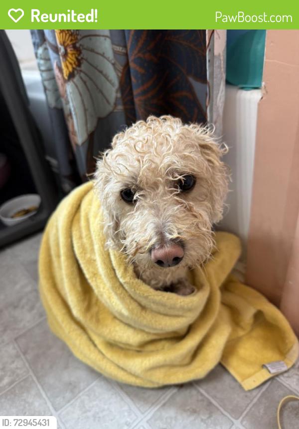Reunited Unknown Dog last seen Near S 3450 W, West Valley City, UT 84119, USA, West Valley City, UT 84119