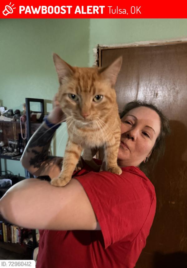 Lost Male Cat last seen unsure?, Tulsa, OK 74134