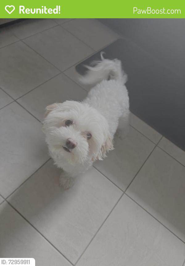 Reunited Male Dog last seen Near Seeman Rd Virginia Beach, Loehmans Plaza, Virginia Beach, VA 23452